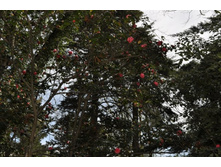 ����������� 124.jpg