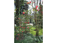 ����������� 125.jpg