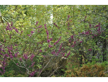 ����������� 168.jpg