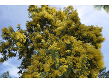 ����������� 174.jpg