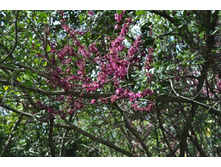 ����������� 181.jpg