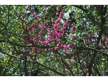 ����������� 182.jpg