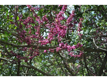 ����������� 183.jpg