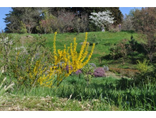 ����������� 280.jpg