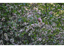 ����������� 283.jpg