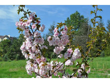 ����������� 266.jpg