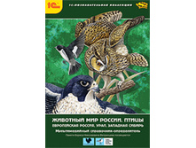 �������� ��� ������. �����. ����������� ������, ����, �������� ������ - 113 ���