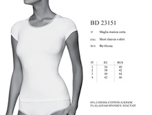 BD23151. Menta