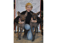 ��������� ������� DSC_0730.JPG