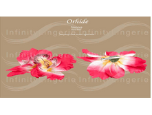 022357 ���.png