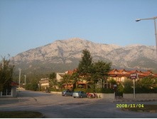 ���� ������