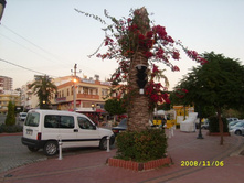 ��� ����� ����� �������� 