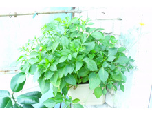 ��������...��� ������� ��-�� ����...