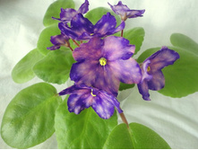 ���-������������ ����.jpg