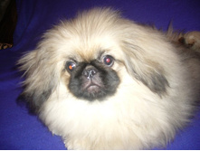 ����������� 099.jpg