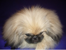 ����������� 101.jpg