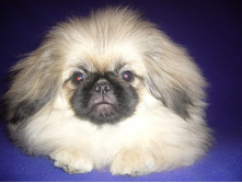 ����������� 104.jpg