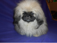 ����������� 063.jpg