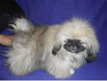 ����������� 073.jpg