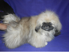 ����������� 074.jpg