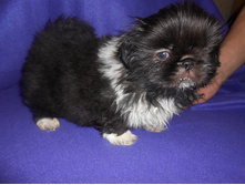 ����������� 044.jpg