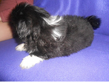 ����������� 045.jpg