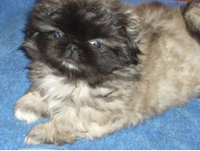 ����������� 005.jpg