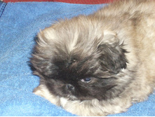 ����������� 006.jpg