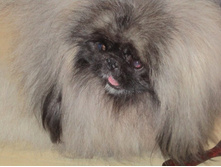 ����������� 055.jpg