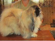 ����������� 046.jpg