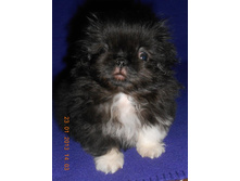 ����������� 003.jpg