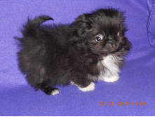 ����������� 004.jpg