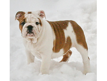 ��� ��� ��� 006.jpg