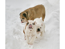 ��� ��� ��� 009.jpg