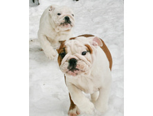 ��� ��� ��� 011.jpg