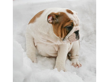 ��� ��� ��� 018.jpg