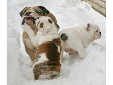 ��� ��� ��� 028.jpg