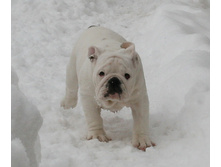 ��� ��� ��� 036.jpg