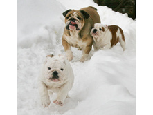 ��� ��� ��� 057.jpg