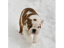 ��� ��� ��� 063.jpg