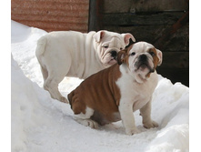 ��������� ���������� 003.jpg