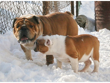 ��������� ���������� 245.jpg