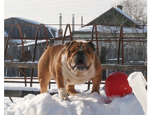 ��������� ���������� 282.jpg