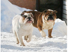 ��������� ���������� 253.jpg