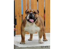 ���� ������������ ������� 076.jpg