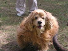 ��� ���� :)