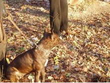 ��������� - ����� :)