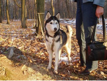 �������� :)