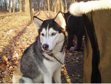 ������ ����� :))