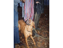 ������ �������� :)